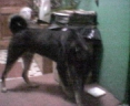 Picture0.jpg