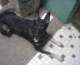 Picture00.jpg